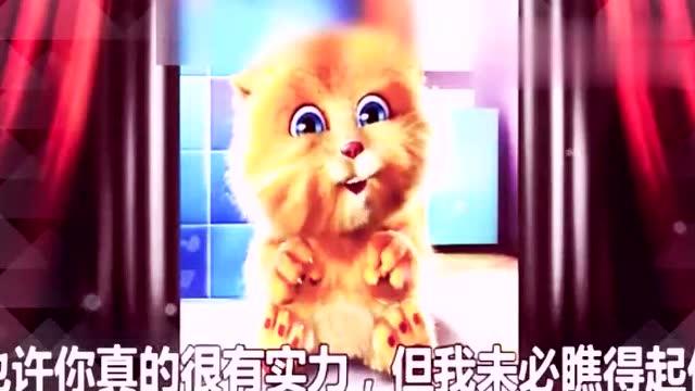 最新金猫侠段子大全，网络时代的幽默风暴