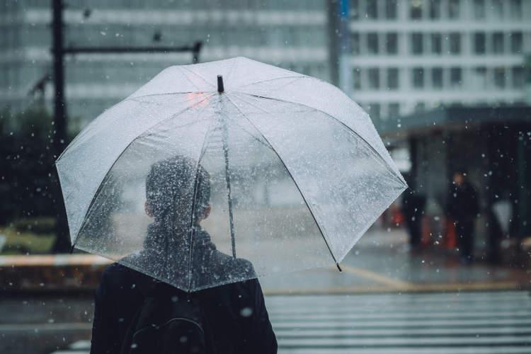 上海今日新动态与经济繁荣的最新消息