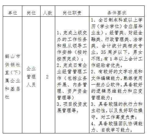 鹤山司机招聘最新动态，行业趋势与求职指南