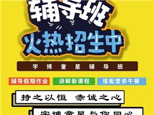 喀左最新招聘信息概览（2017年）