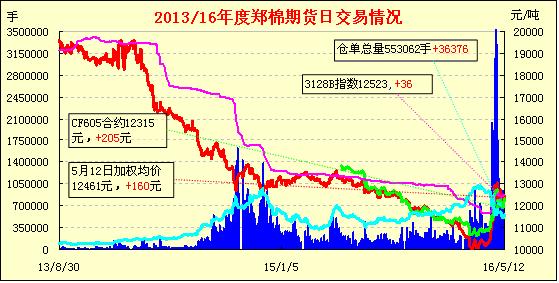 郑棉期货最新动态，市场走势深度分析与展望