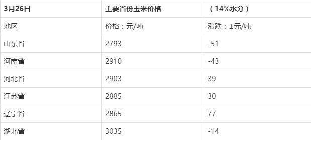 今日玉米价格走势图及影响因素深度解析