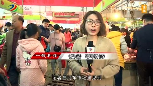 廉江最新今日一线动态，城市发展与民生改善同步前行 2017年报告