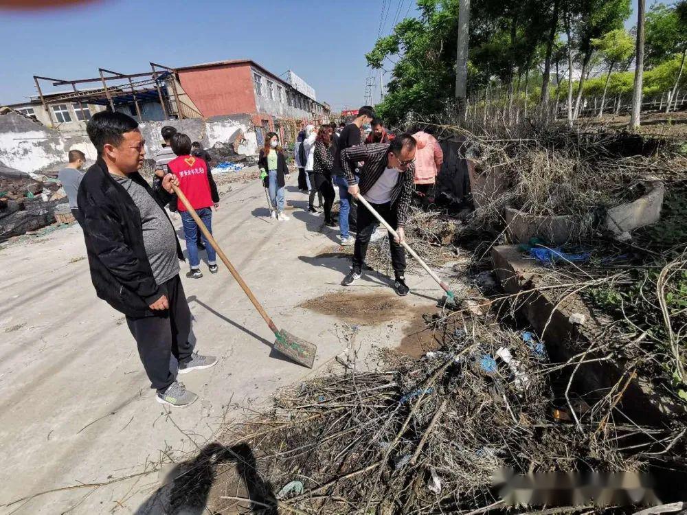 王稳庄镇土地动态，最新消息深度解析