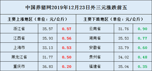 冯永辉最新分析，猪价走势展望与预测