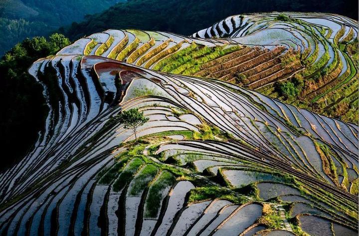 农家仙田最新章节，奇幻田园奥秘探索之旅