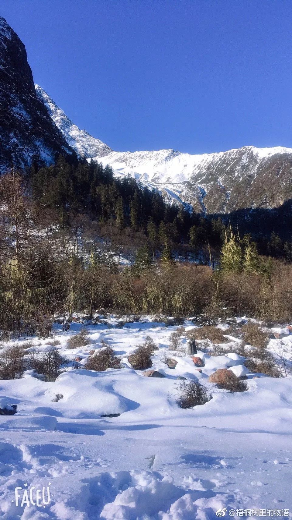 川西最新雪落高原，雪景如画美不胜收