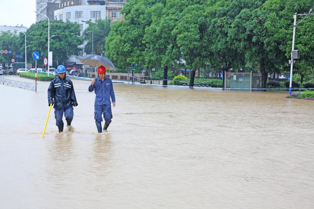 广西暴雨最新动态，灾害应对与影响分析报告